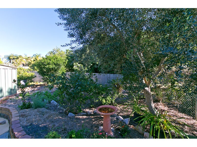 11 Marc Place, Cleveland QLD 4163