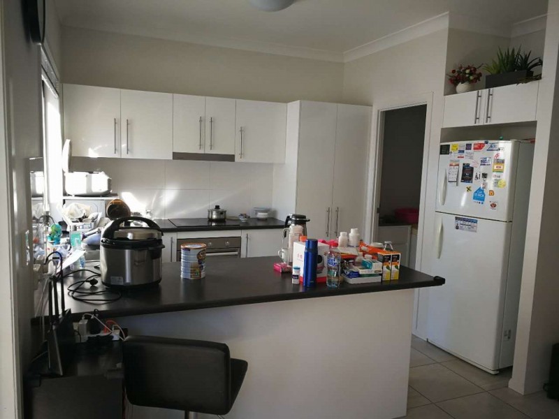 9 / 9 Michelle Court, Cleveland QLD 4163