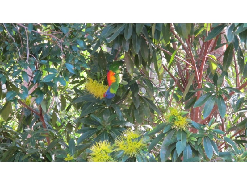 192 Long Street, Cleveland QLD 4163