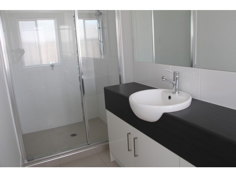 29 Riley Peter Place, Cleveland QLD 4163