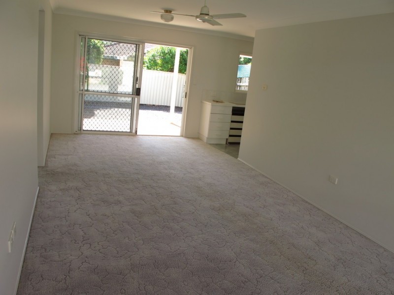 91 Wynyard Street, Cleveland QLD 4163