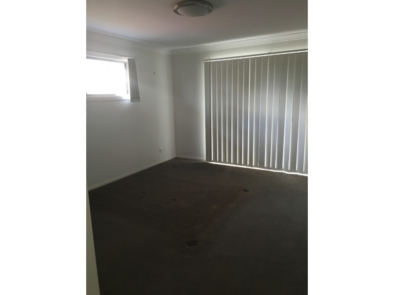 19 Parnell St, Ormiston QLD 4160