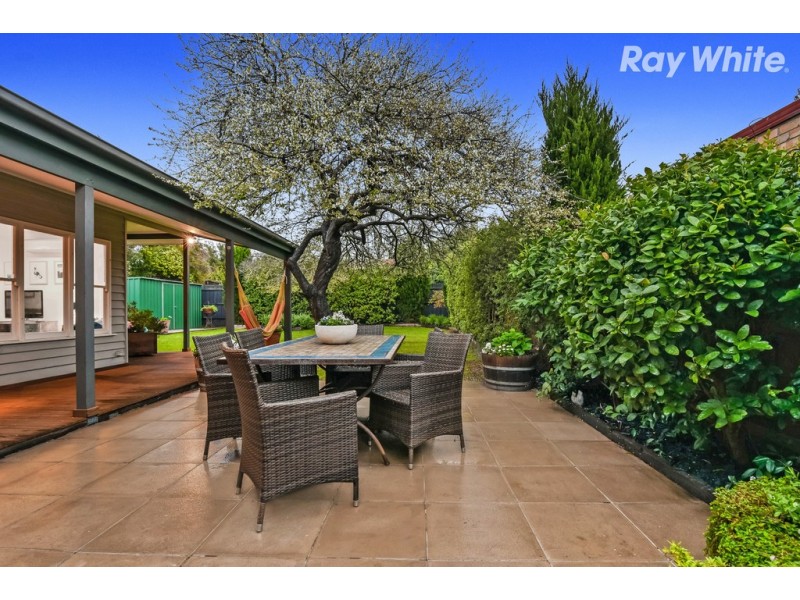 17 Munro Avenue, Cheltenham VIC 3192