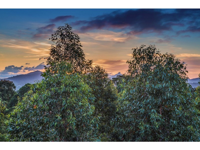 43 Macadamia Drive, Pottsville NSW 2489