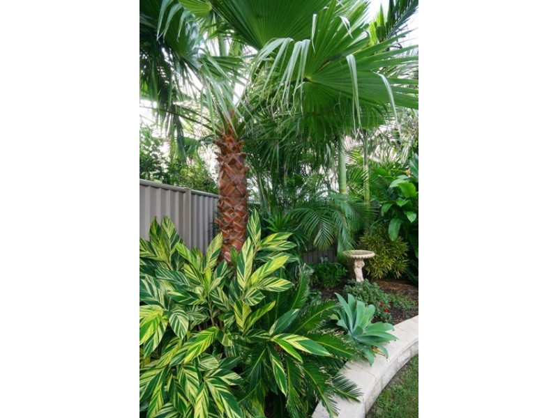 26 Urunga Drive, Pottsville NSW 2489