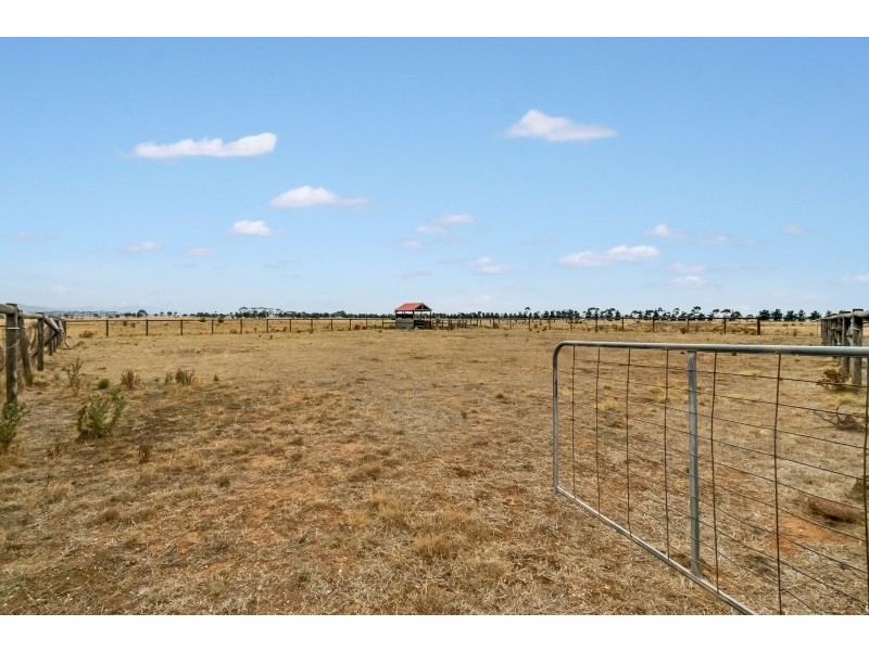 37 Newtons Road, Little River VIC 3211