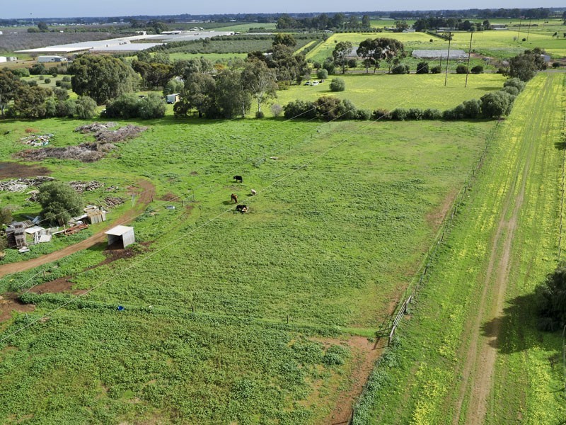 13 Moss Road, Munno Para Downs SA 5115