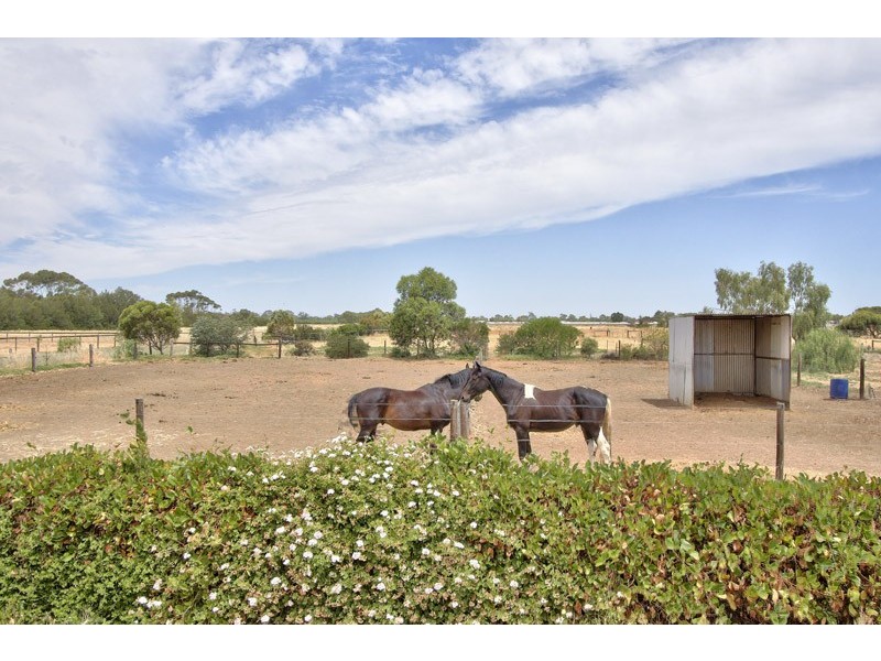 8 Gawler River Road, Lewiston SA 5501