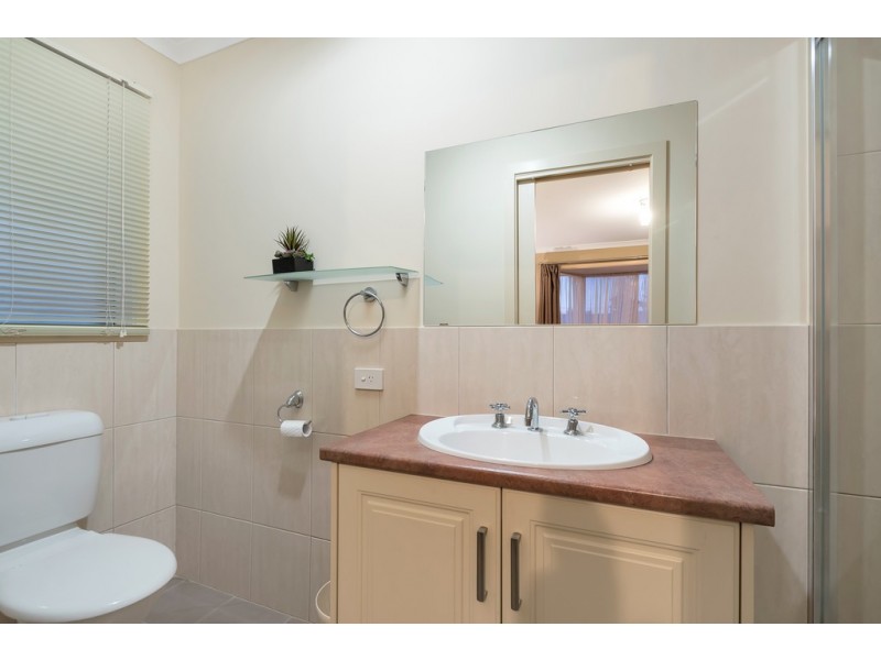 16 Hearl Street, Nuriootpa SA 5355