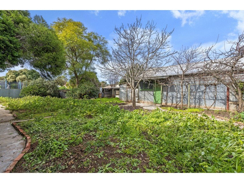 10 Burrows Street, Willaston SA 5118