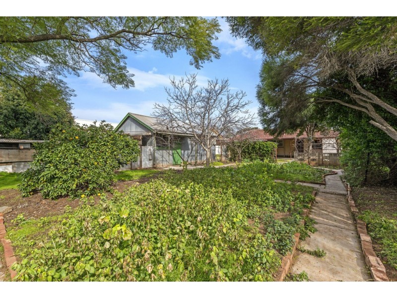 10 Burrows Street, Willaston SA 5118