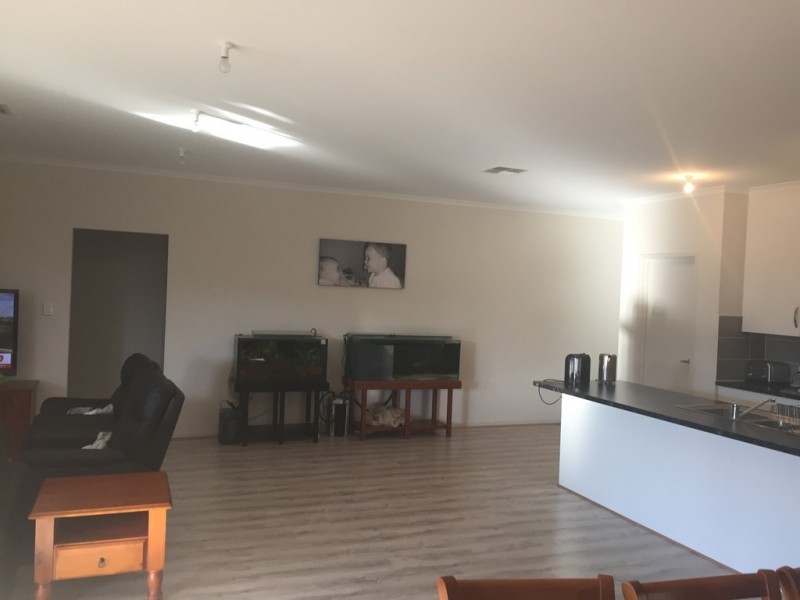 20 SEYMOUR AVENUE, Evanston Gardens SA 5116