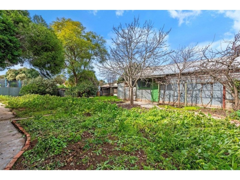 10 Burrows Street, Willaston SA 5118