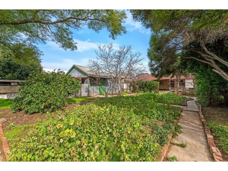 10 Burrows Street, Willaston SA 5118