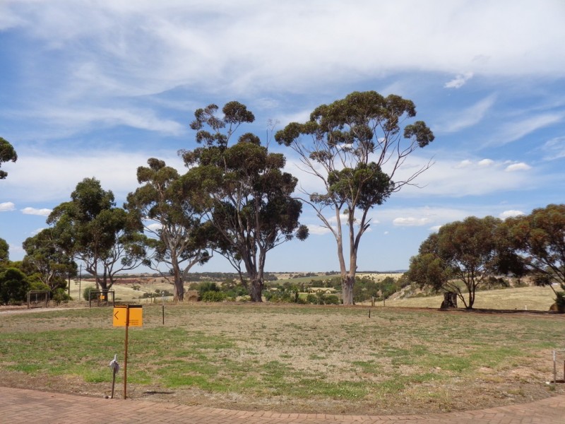 202 Gawler Terrace, Evanston Park SA 5116