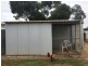 11 Cowan Road, Two Wells SA 5501
