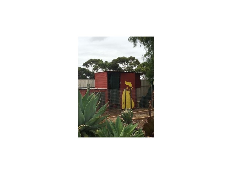 11 Cowan Road, Two Wells SA 5501