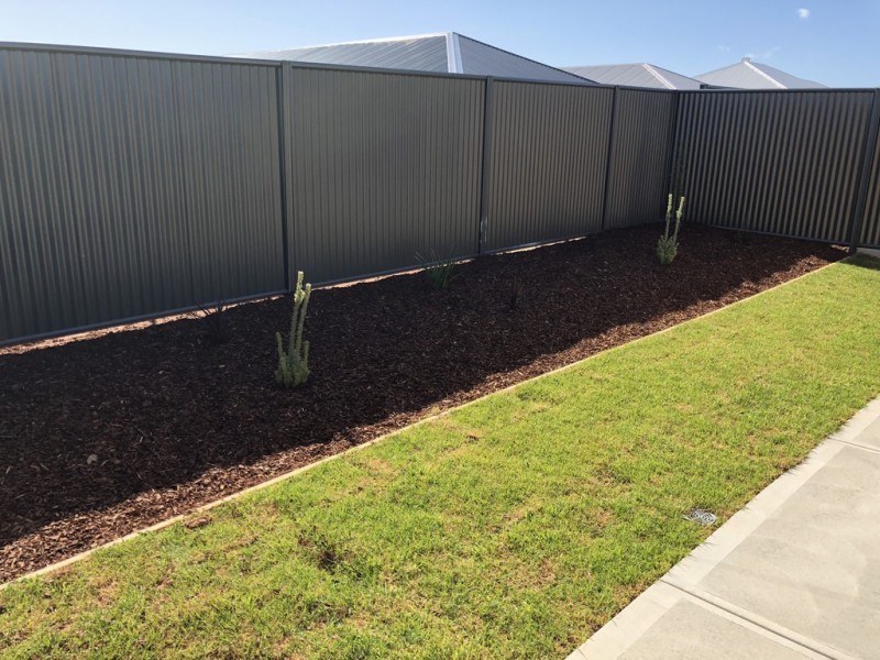 Lot 41 Angove, Blakeview SA 5114