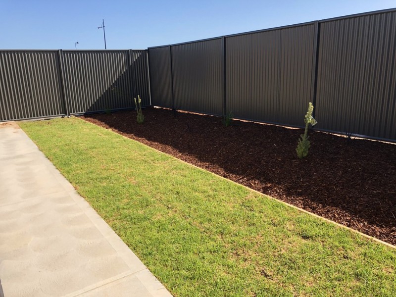 Lot 41 Angove, Blakeview SA 5114