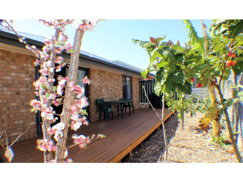 12 BURFORD STREET, Gawler East SA 5118