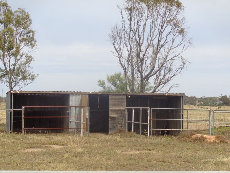 61 WILLIAMS ROAD, Two Wells SA 5501