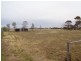 61 WILLIAMS ROAD, Two Wells SA 5501