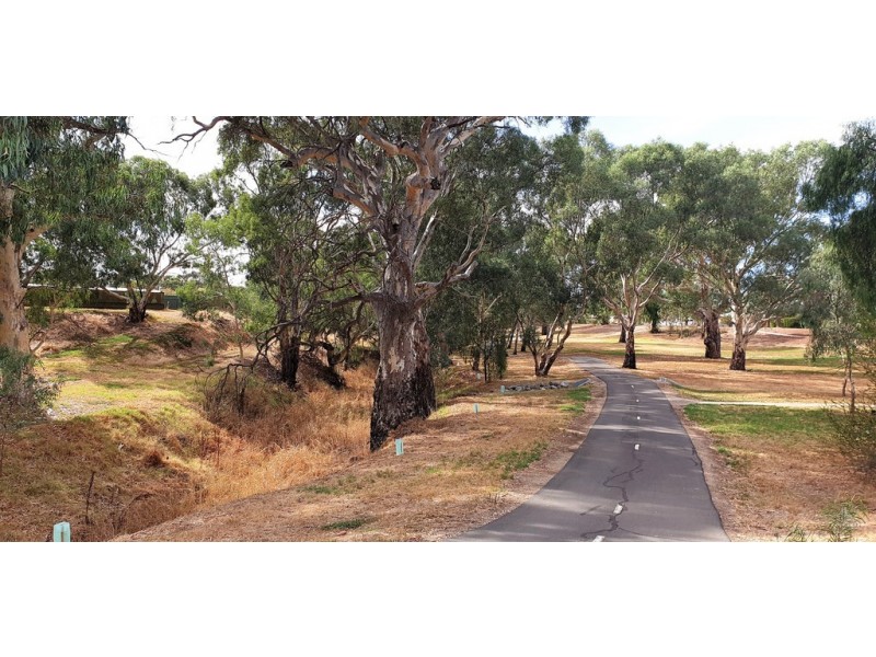 5 RICHARDS AVENUE, Gawler South SA 5118