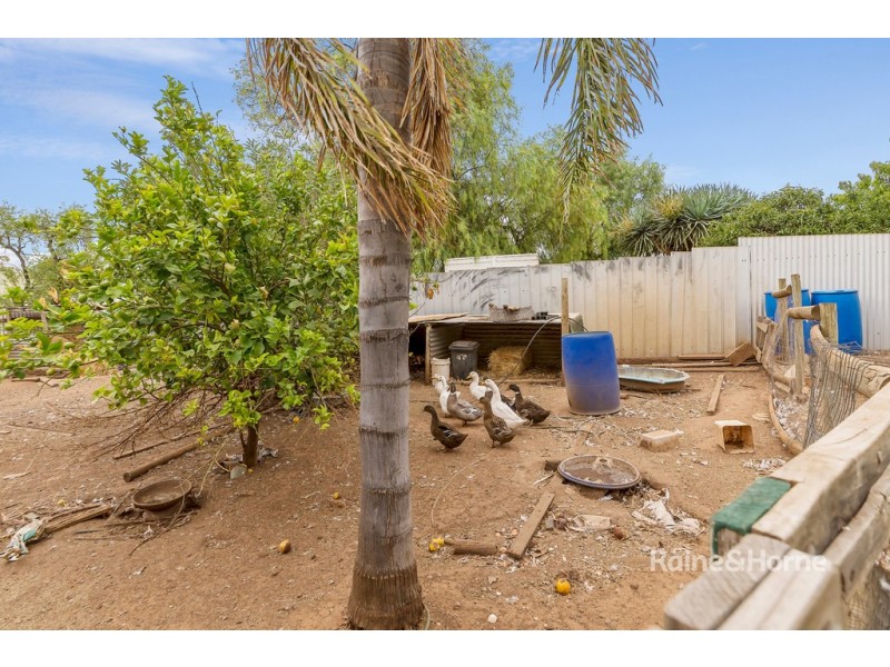 5 SOUTH STREET, Hamley Bridge SA 5401