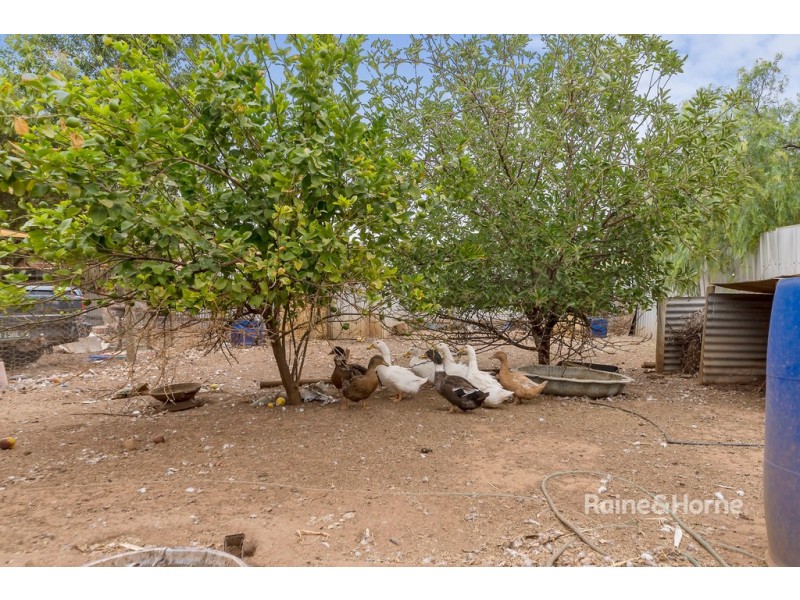 5 SOUTH STREET, Hamley Bridge SA 5401