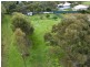 30 Maxwell Street, Kapunda SA 5373