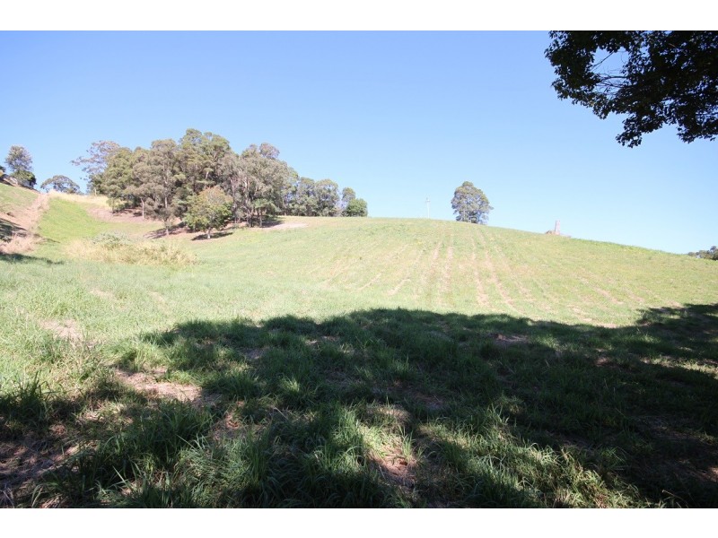 Lot 1 Reserve Creek Road, Reserve Creek NSW 2484