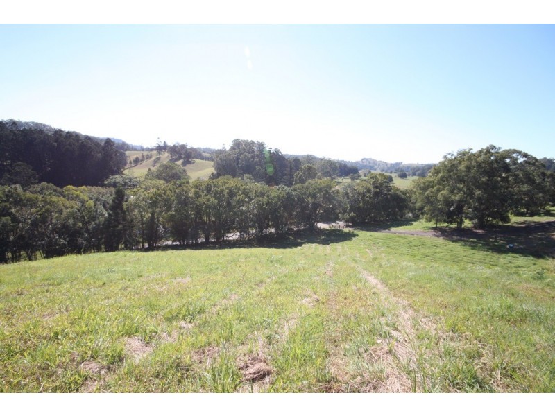 Lot 1 Reserve Creek Road, Reserve Creek NSW 2484