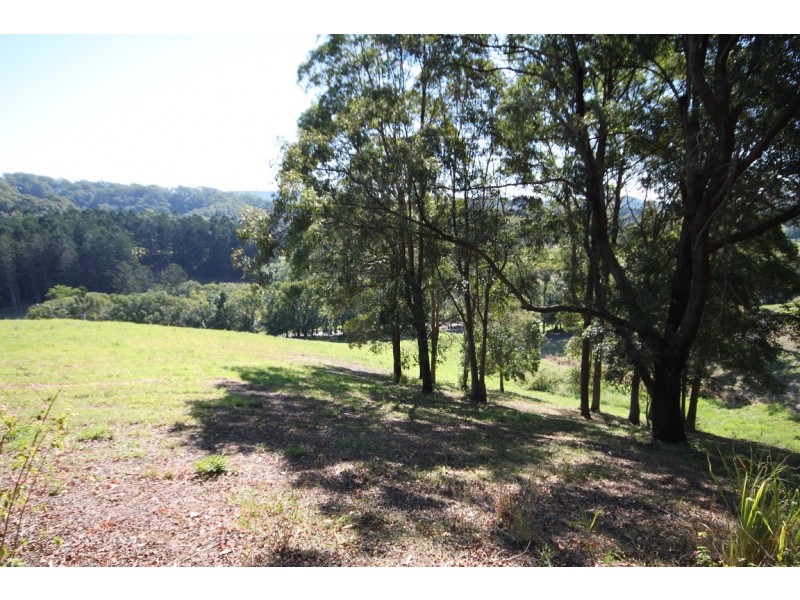 Lot 1 Reserve Creek Road, Reserve Creek NSW 2484