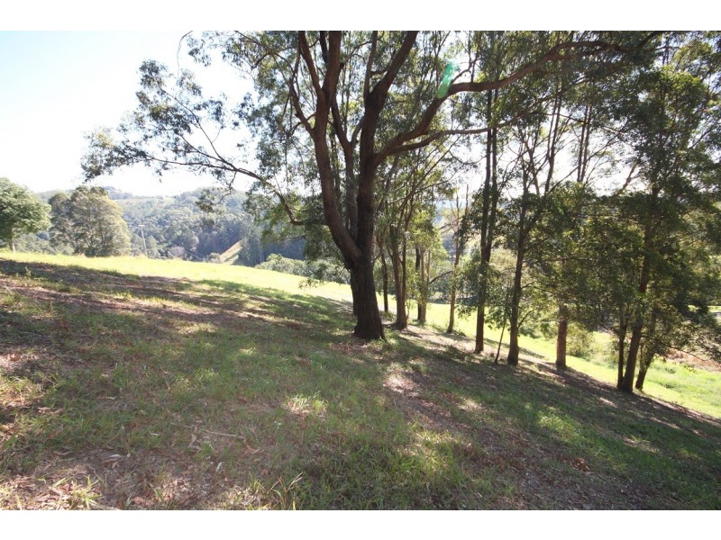 Lot 1 Reserve Creek Road, Reserve Creek NSW 2484