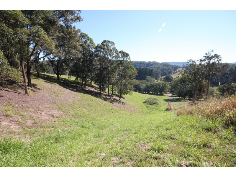 Lot 1 Reserve Creek Road, Reserve Creek NSW 2484