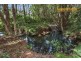 389 Upper Burringbar Road, Burringbar NSW 2483