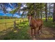 204 Kanes Road, Round Mountain NSW 2484
