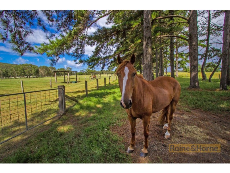 204 Kanes Road, Round Mountain NSW 2484