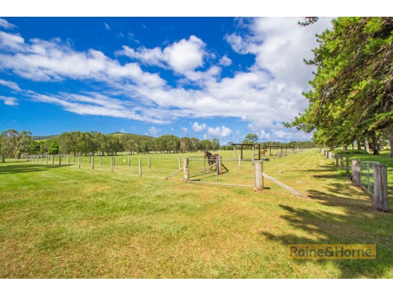 204 Kanes Road, Round Mountain NSW 2484