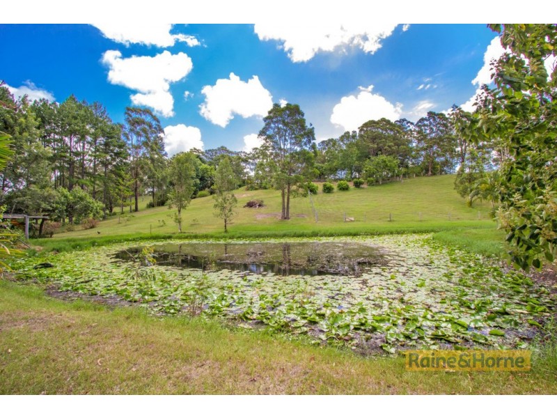 204 Kanes Road, Round Mountain NSW 2484