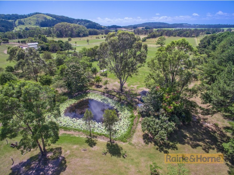 204 Kanes Road, Round Mountain NSW 2484