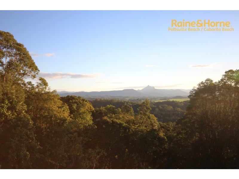 83 Farrants Road, Nunderi NSW 2484