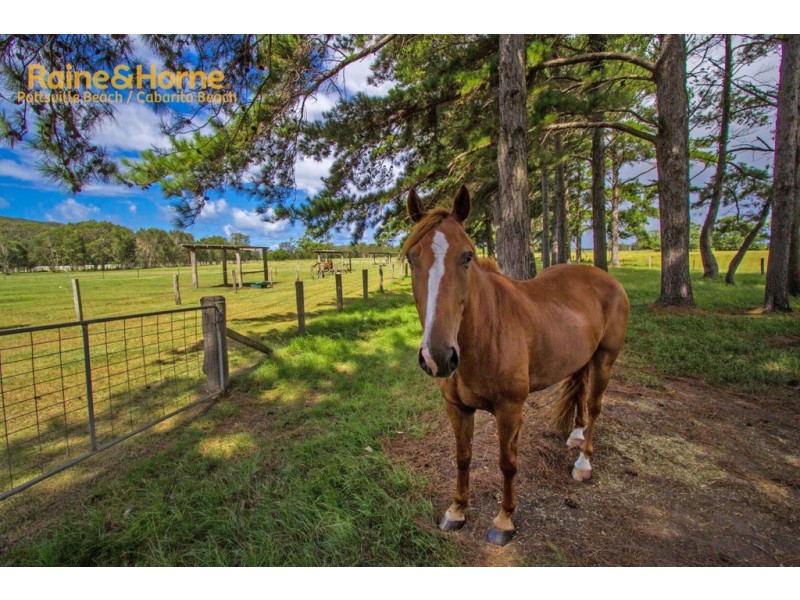 204 KANES ROAD, Round Mountain NSW 2484