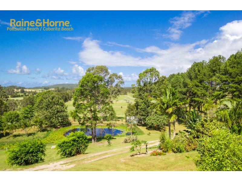 204 KANES ROAD, Round Mountain NSW 2484
