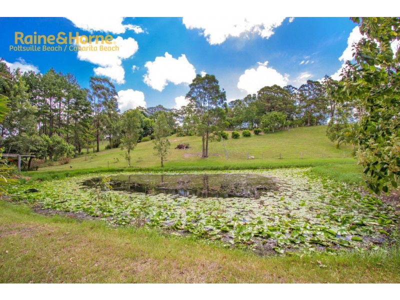 204 KANES ROAD, Round Mountain NSW 2484