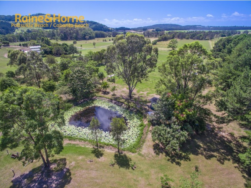 204 KANES ROAD, Round Mountain NSW 2484