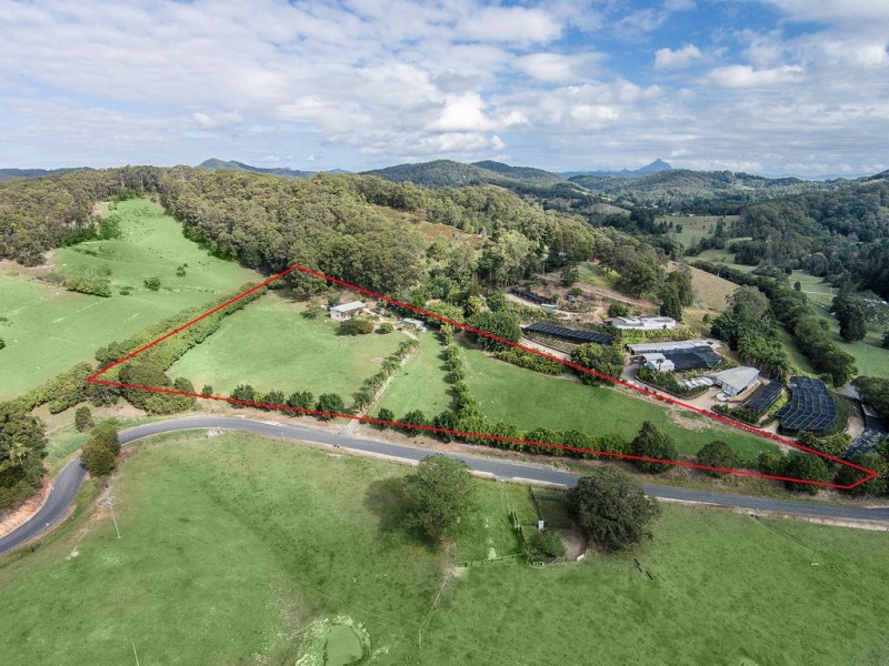 1204 Reserve Creek Road, Reserve Creek NSW 2484