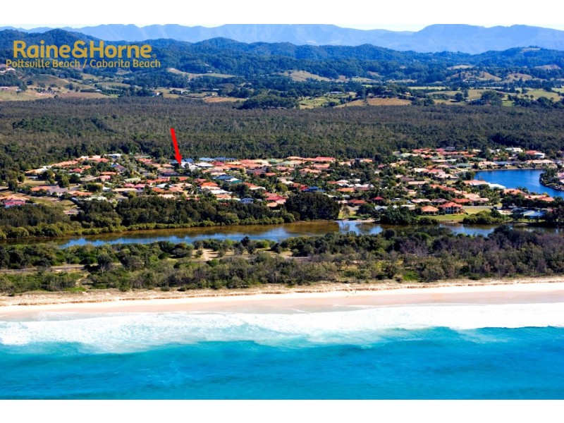 43 Buckingham Drive, Pottsville NSW 2489