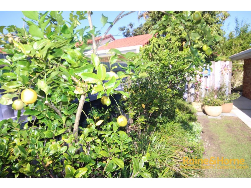 6 /19-27 Elizabeth Street, Pottsville NSW 2489