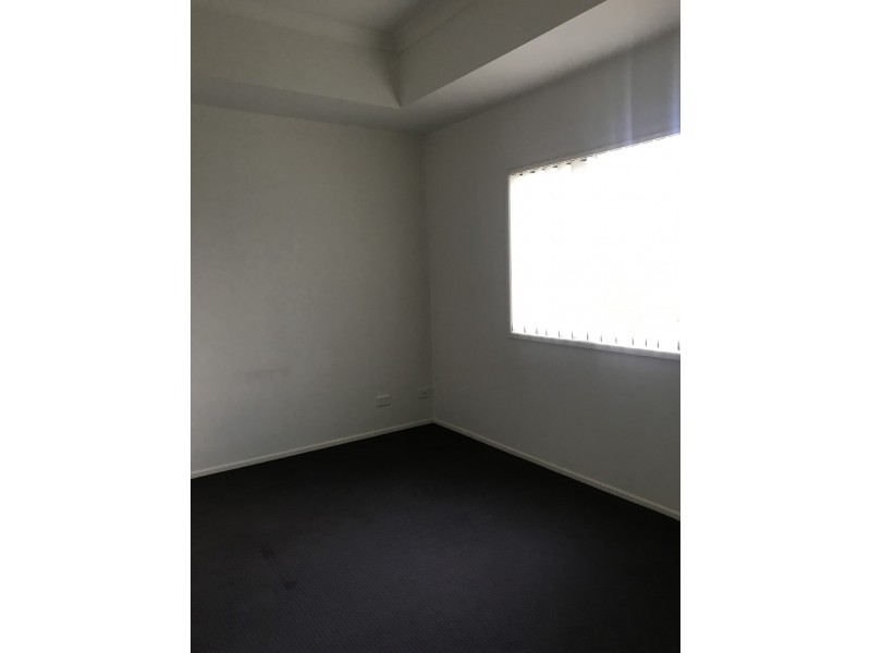 22 Echidna Street, Pottsville NSW 2489